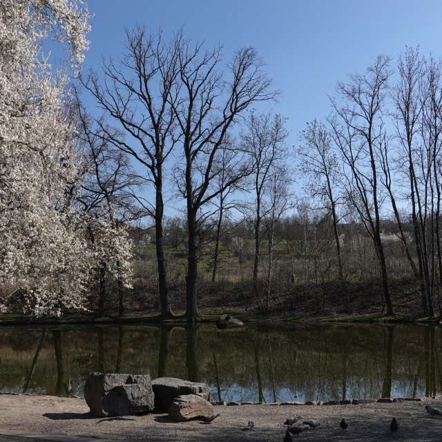 Fotos Lago. Previsões do tempo com lindas fotos de Vasek325 em Praha 12