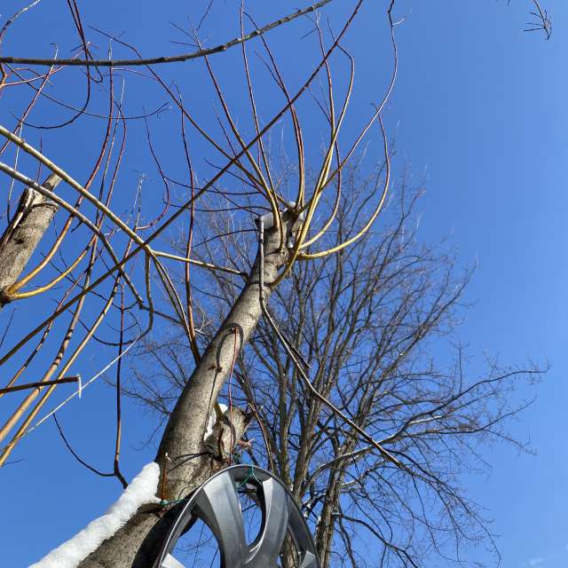 Front. Wettervorhersagen mit schönen Fotos von Lulu5523 Fotos Outaouais