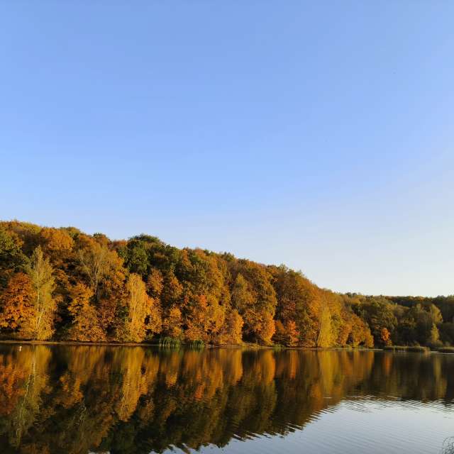 Train. Weather forecasts with beautiful photos by Aleksei Photos in Tula