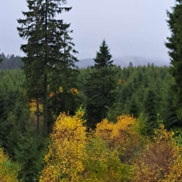 天气预报，带NikolausMinas精美的照片