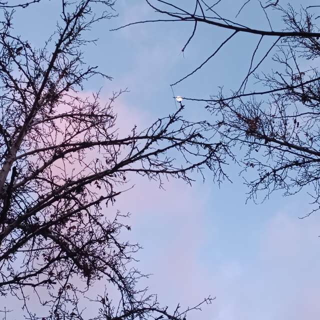 Pronósticos del tiempo con hermosas fotos de miladzee