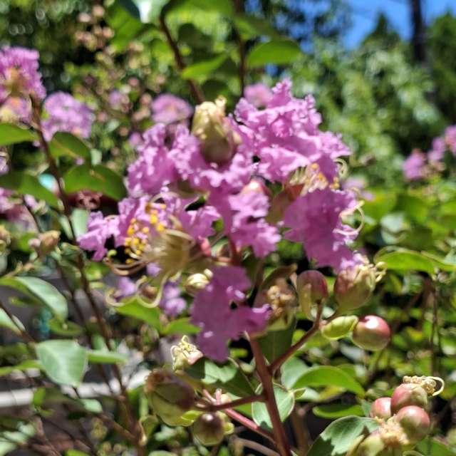 Fotos Fechar. Previsões do tempo com lindas fotos de Wen-ya Huang em Kaohsiung City