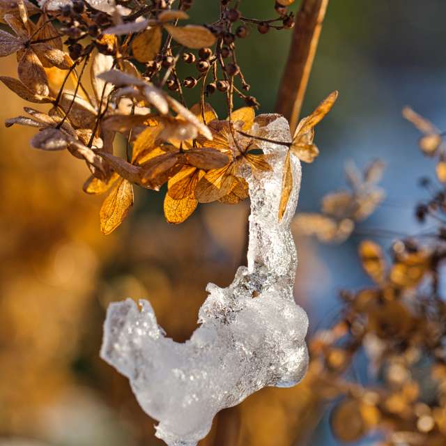 Weather forecasts with beautiful photos by martinm611