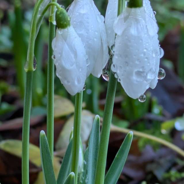 Прогнозы погоды с чудесными фотографиями, сделанными Sunshinelady62