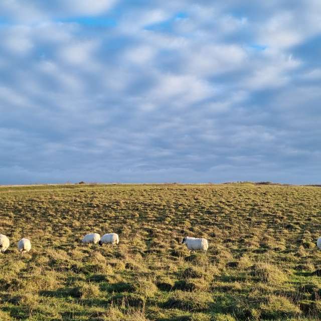 Pasture. Weather forecasts with beautiful photos by DaB Photos in World