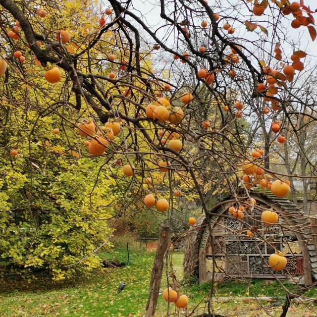 Fotos Grupo. Previsões do tempo com lindas fotos de NikolayPaunchev em 13 Boulevard de l'Hôpital