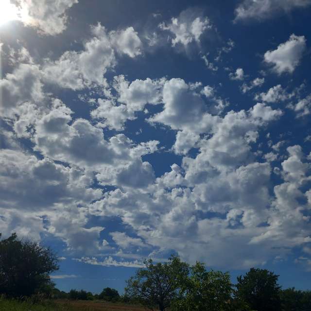 Pronósticos del tiempo con hermosas fotos de Koppany
