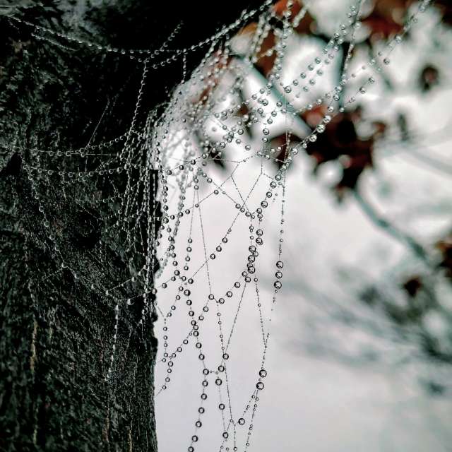 世界的天气照片. 天气预报，带Ghostroku精美的照片