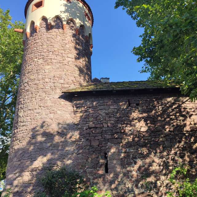Stone. Weather forecasts with beautiful photos by Tercis Photos in Ettlingen