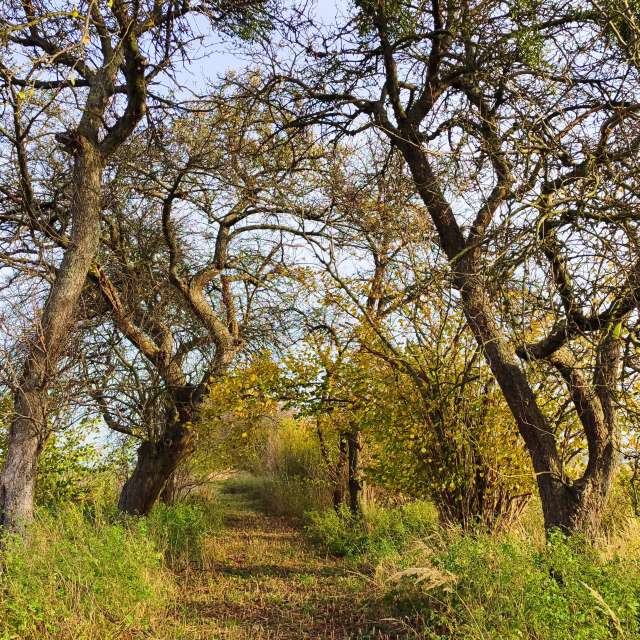 Weather forecasts with beautiful photos by Romek58