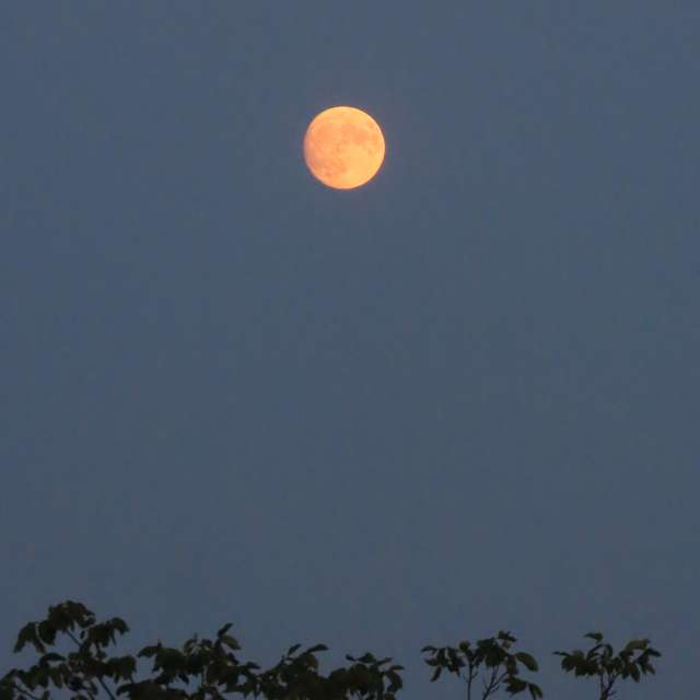 Dự báo thời tiết với những bức ảnh đẹp của Sviatoslav