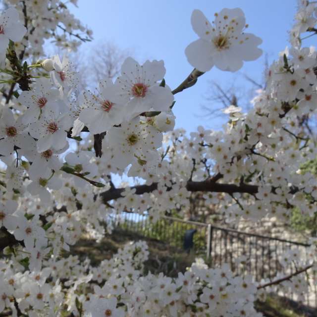 Weather forecasts with beautiful photos by Rikar Gartzia