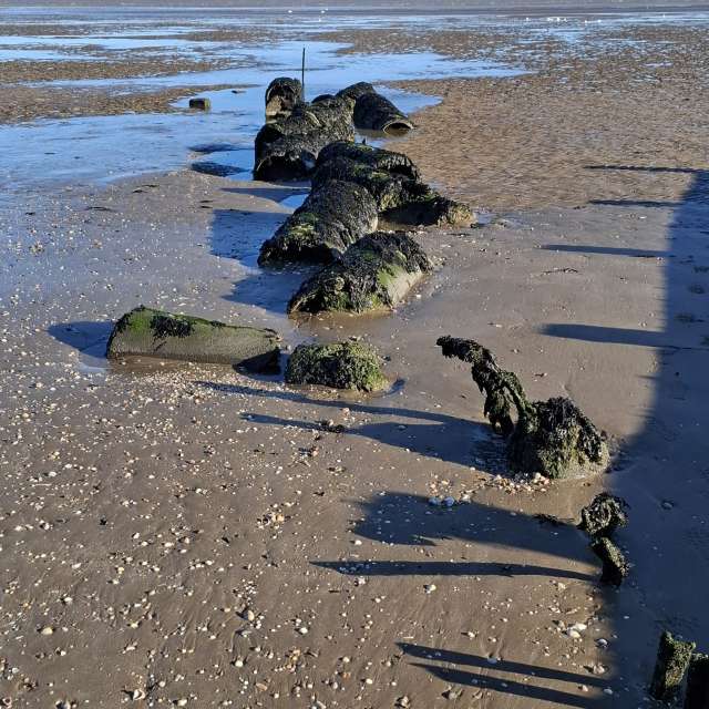 Lolliの美しい写真による天気予報