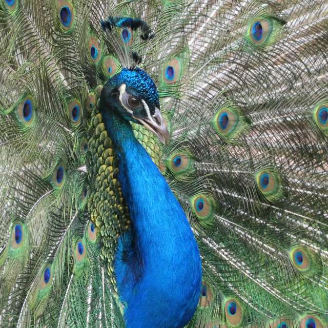 Pronósticos del tiempo con hermosas fotos de Richtoldi