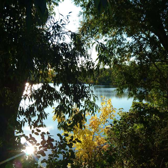 Sheep. Weather forecasts with beautiful photos by Михаил Гавриков Photos in Kharkiv