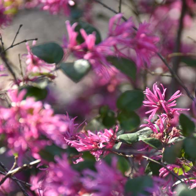 Weather forecasts with beautiful photos by 1stEyeFocused