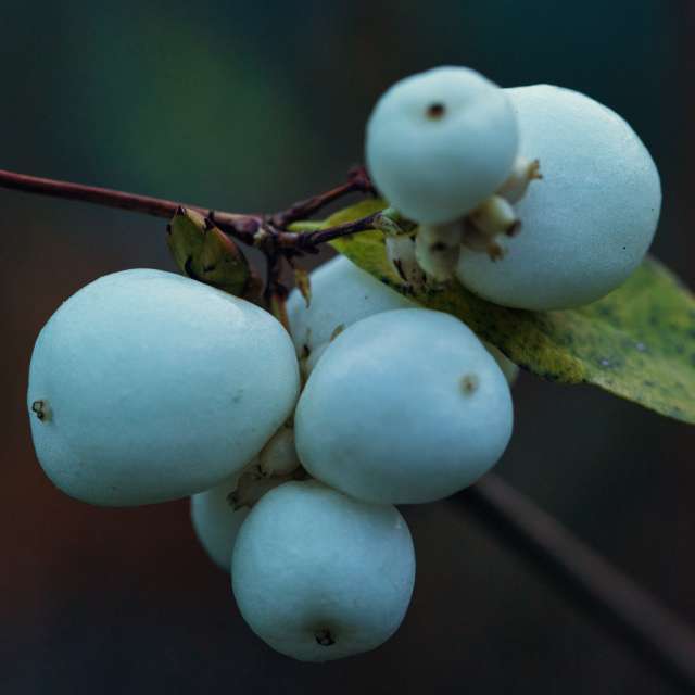 Weather forecasts with beautiful photos by martinm611