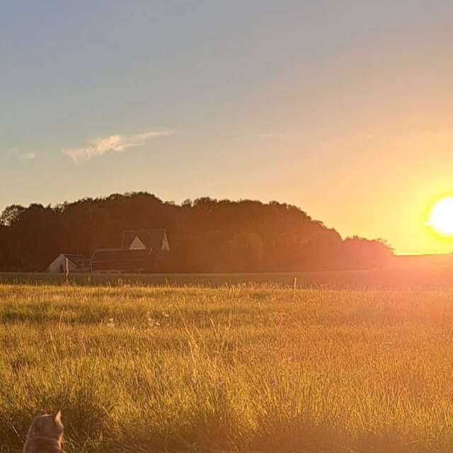 Thobieの美しい写真による天気予報