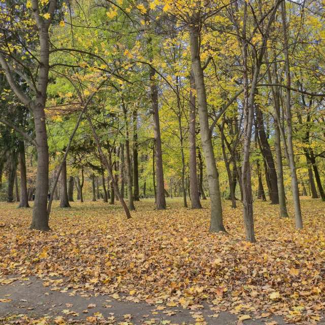 Wettervorhersagen mit schönen Fotos von Andrie