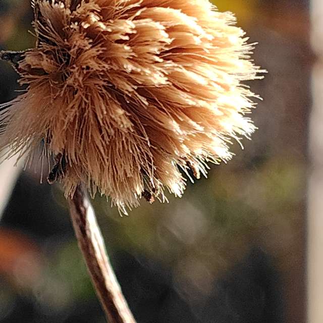 Weather forecasts with beautiful photos by umemui