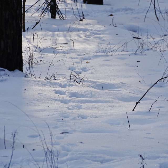 Country. Weather forecasts with beautiful photos by Михаил Гавриков Photos in Kharkiv