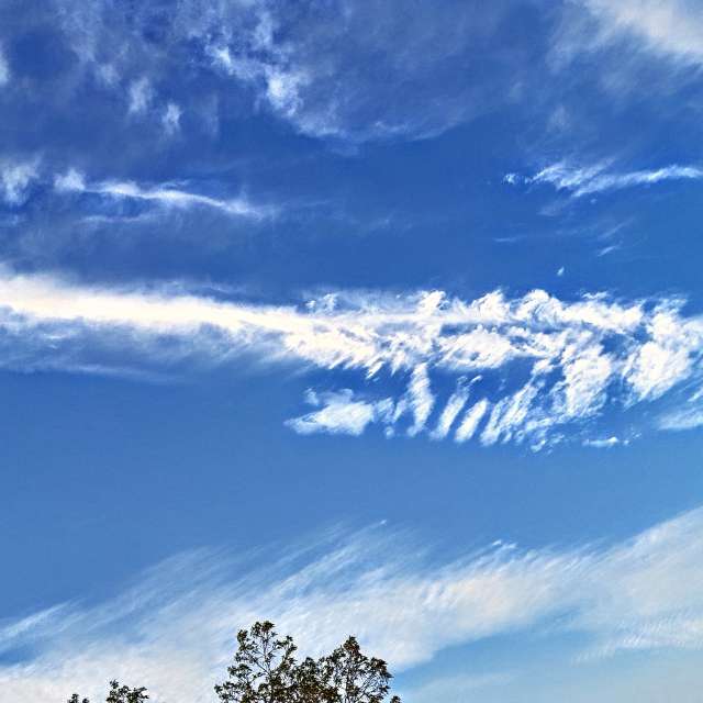 Field. Weather forecasts with beautiful photos by Wiesiek Photos in Gdansk