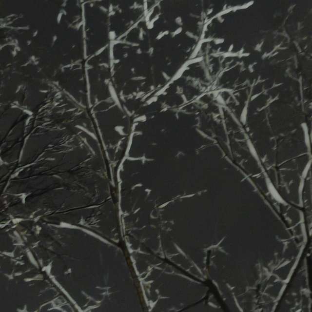 Fotos del Gente. Pronósticos del tiempo con hermosas fotos de YanBog en București