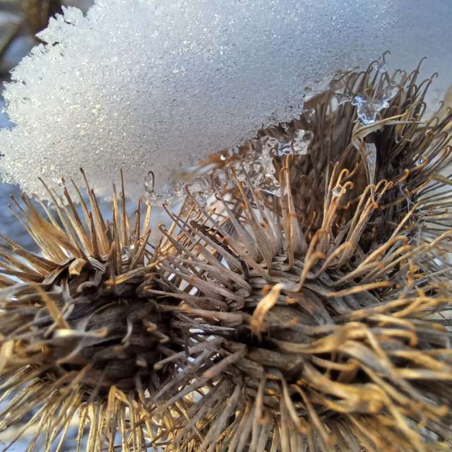 Прогнозы погоды с чудесными фотографиями, сделанными Hikey