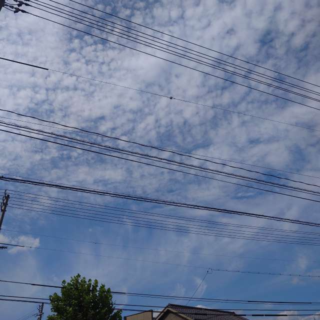 Fotos Arame. Previsões do tempo com lindas fotos de あさのジジ em Okayama