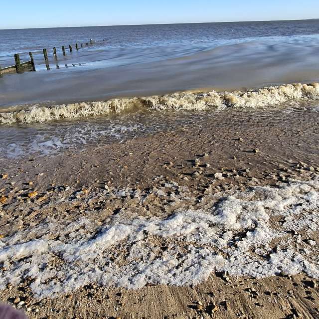 Previsões do tempo com lindas fotos de Lolli