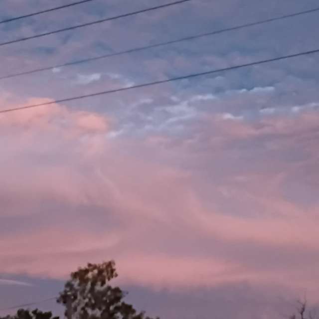 Teriの美しい写真による天気予報