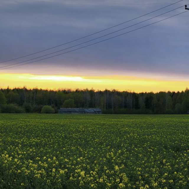 Hintergrund. Wettervorhersagen mit schönen Fotos von Valiukas Fotos Litauen