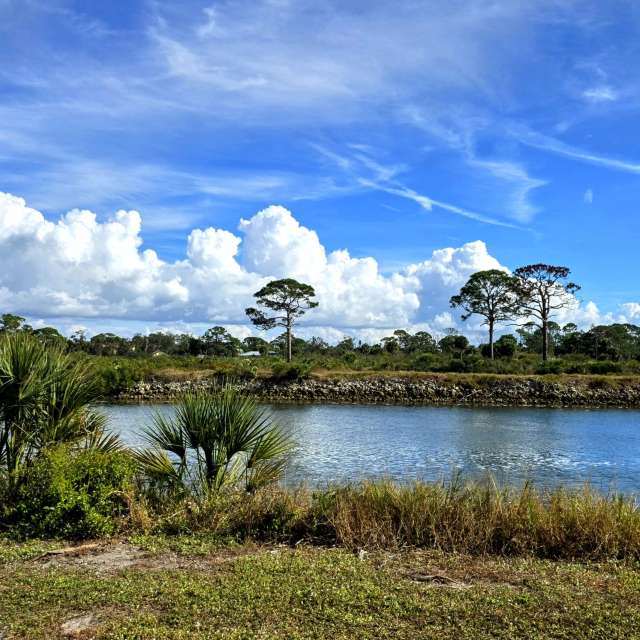 Прогнозы погоды с чудесными фотографиями, сделанными Tim_Welch