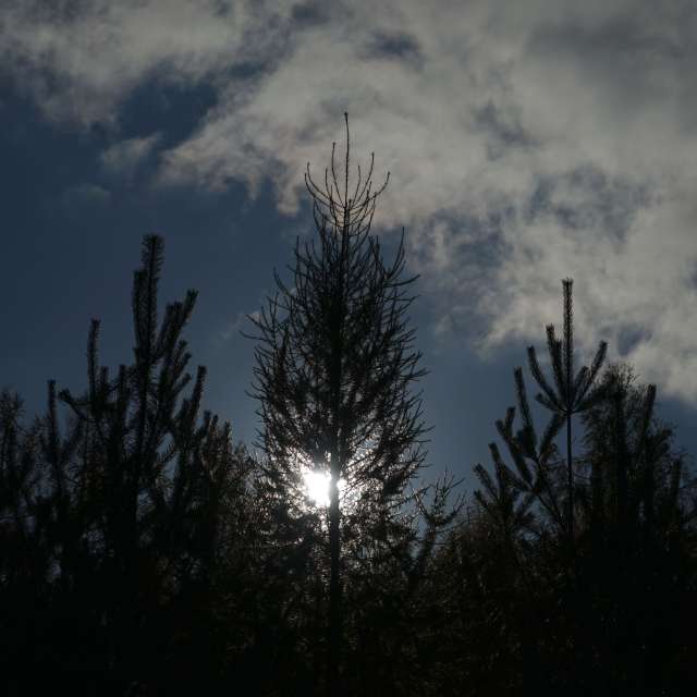 Previsões do tempo com lindas fotos de Vasek325