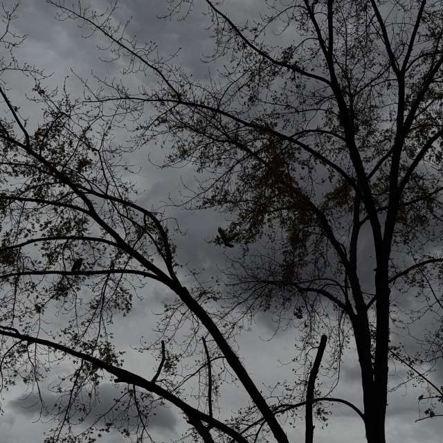 Prévisions météo avec de superbes photos de Sonia