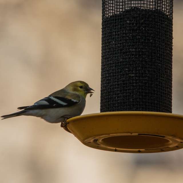Прогнозы погоды с чудесными фотографиями, сделанными krantzjh