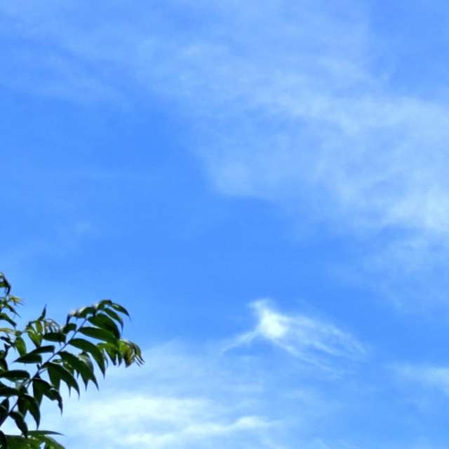 Photos Sablonneux. Prévisions météo avec de superbes photos de Wen-ya Huang de Kaohsiung