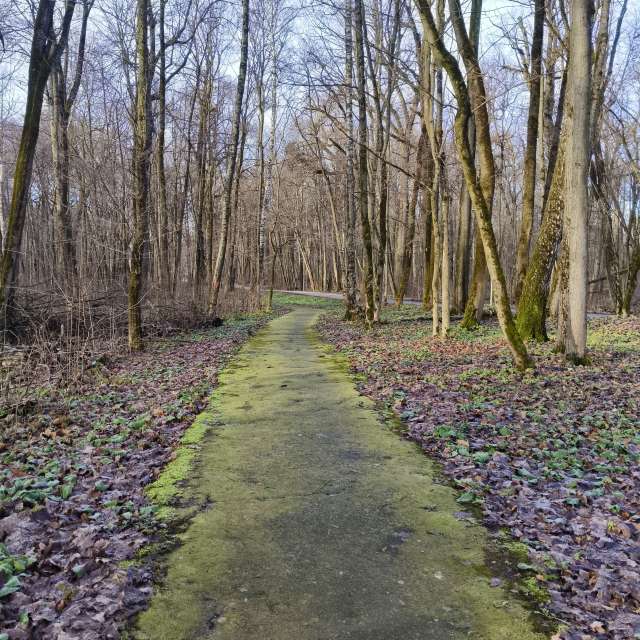 Yasnaya Polyana的Weather. 天气预报，带Aleksei精美的照片照片