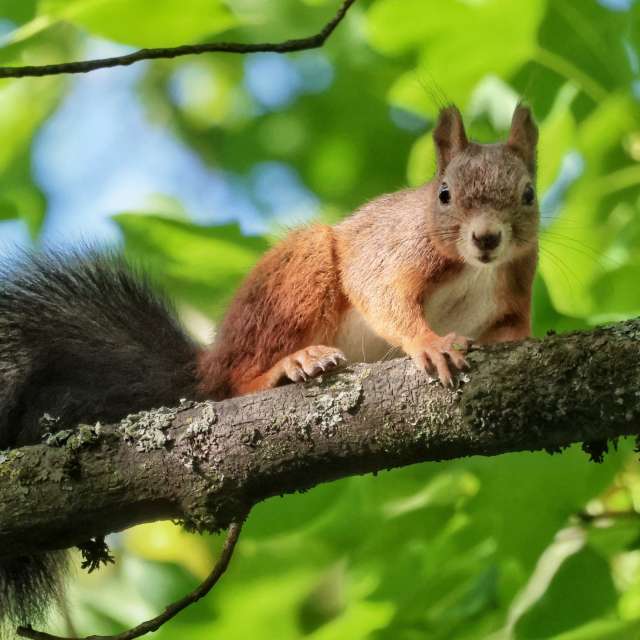 Sitting. Weather forecasts with beautiful photos by Lotti5507 Photos in World