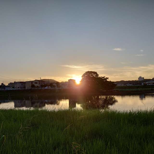 Grassy. Weather forecasts with beautiful photos by あさのジジ Photos in Okayama