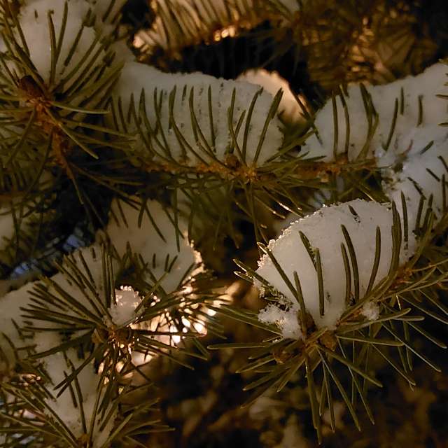 Fluffy. Weather forecasts with beautiful photos by Iryna Photos in Kharkiv