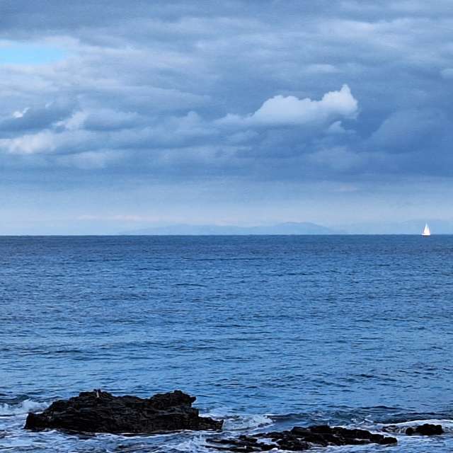 Previsões do tempo com lindas fotos de Silvesoft