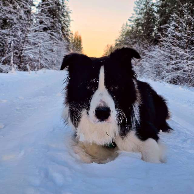 Previsões do tempo com lindas fotos de Piia