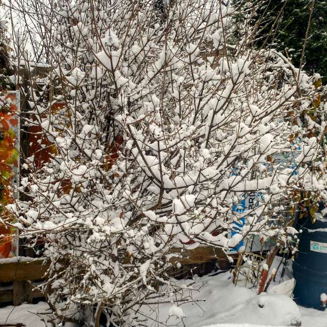 Jumping. Weather forecasts with beautiful photos by Lulu5523 Photos in le Plateau