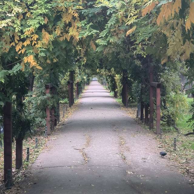 Fotos del Motocicleta. Pronósticos del tiempo con hermosas fotos de YanBog en București