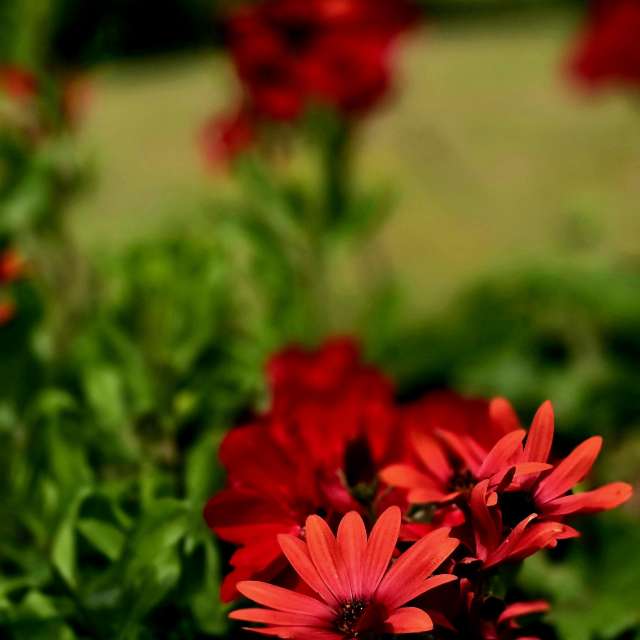 Tisch. Wettervorhersagen mit schönen Fotos von Hela Fotos Bayern