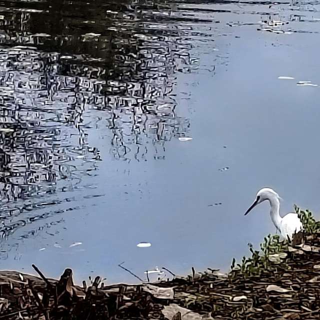 天气预报，带Ghostroku精美的照片