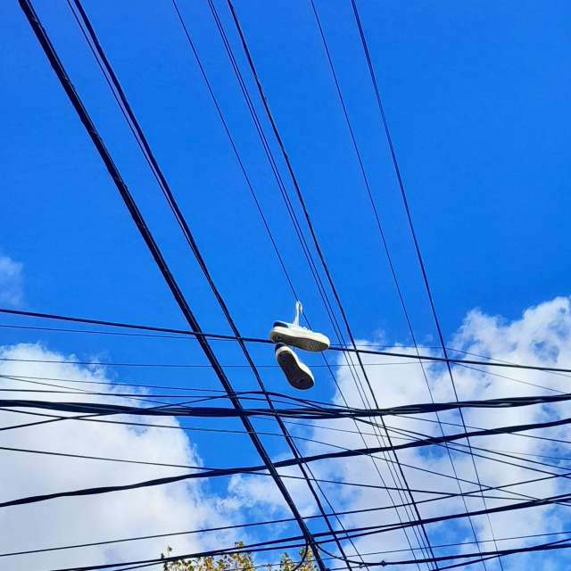 Train. Weather forecasts with beautiful photos by SEBASTIAN14 Photos in Olivos