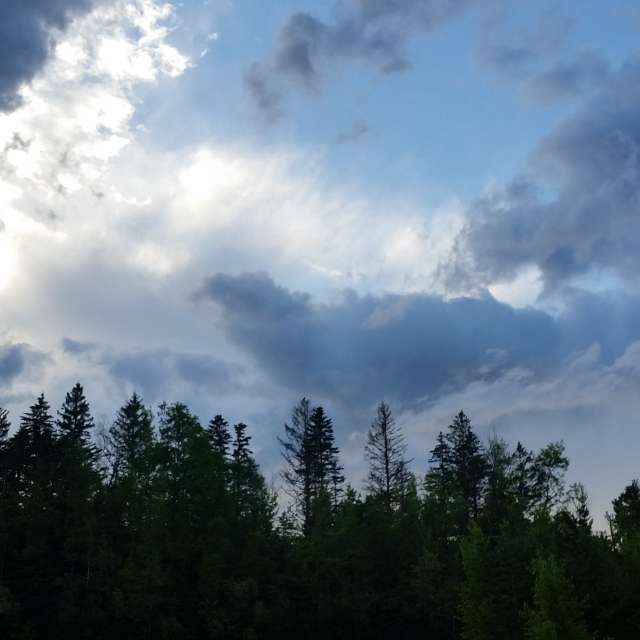 AnnaHakesの美しい写真による天気予報