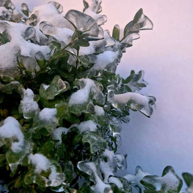 Weather forecasts with beautiful photos by Iryna